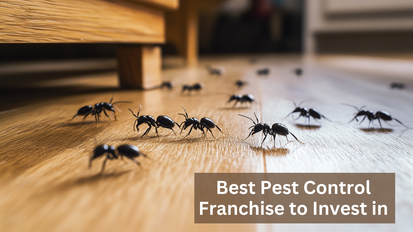 Best Pest Control Franchise to Invest in