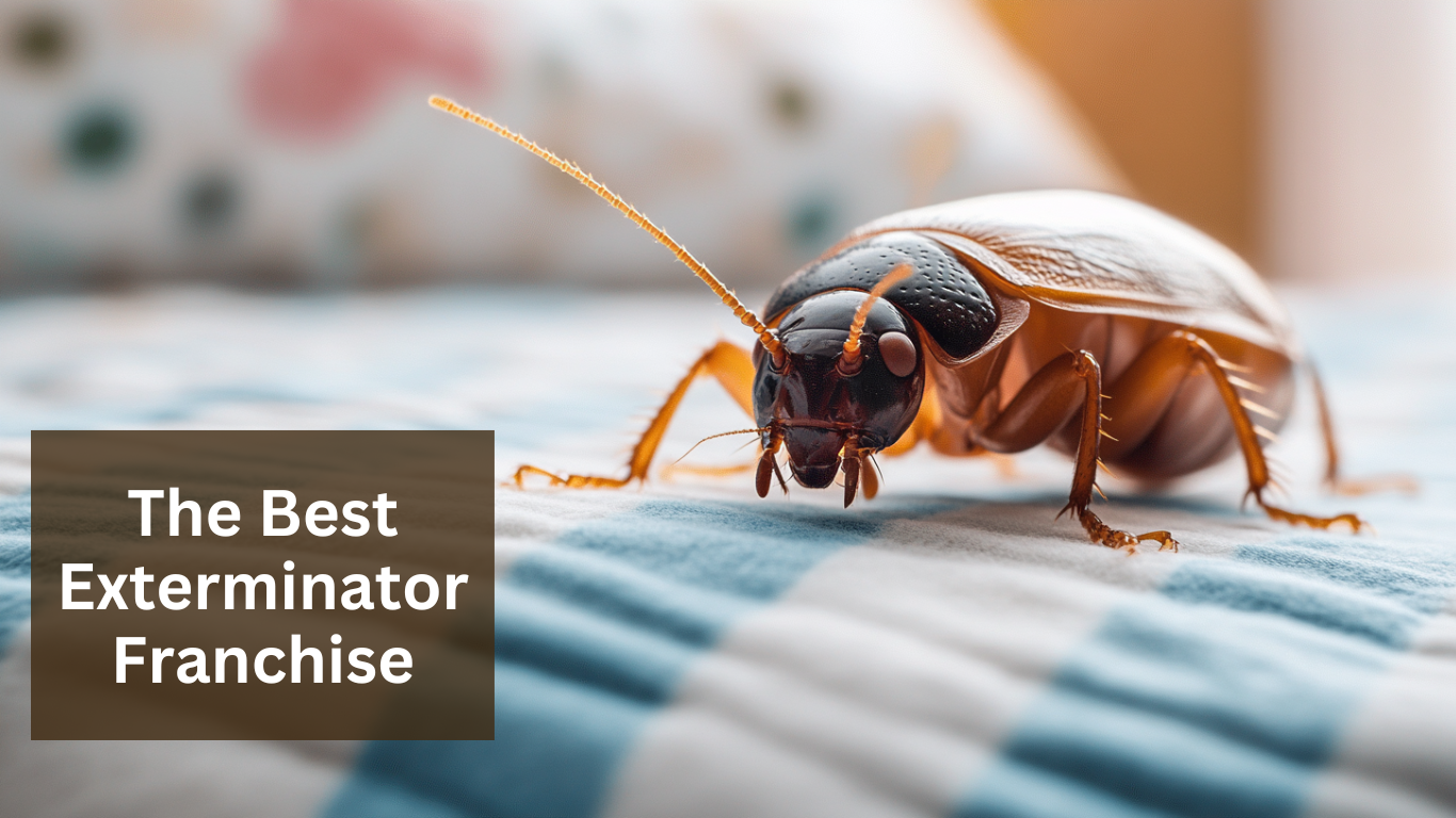 What's the best Exterminator Franchise?