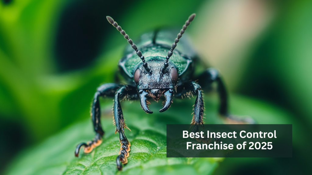 Best Control Insect Best Insect Control Franchise of 2025