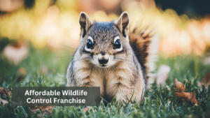 Affordable Wildlife Control Franchise