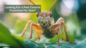 pest control franchise for sale