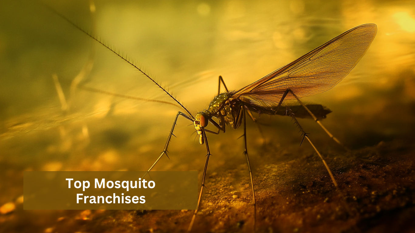Top Mosquito Franchises