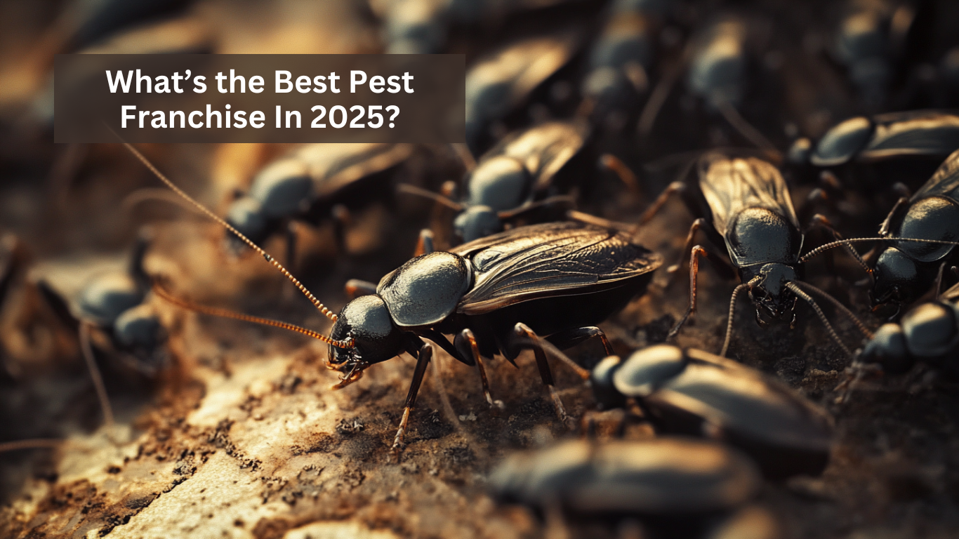 What's the best pest franchise in 2025?