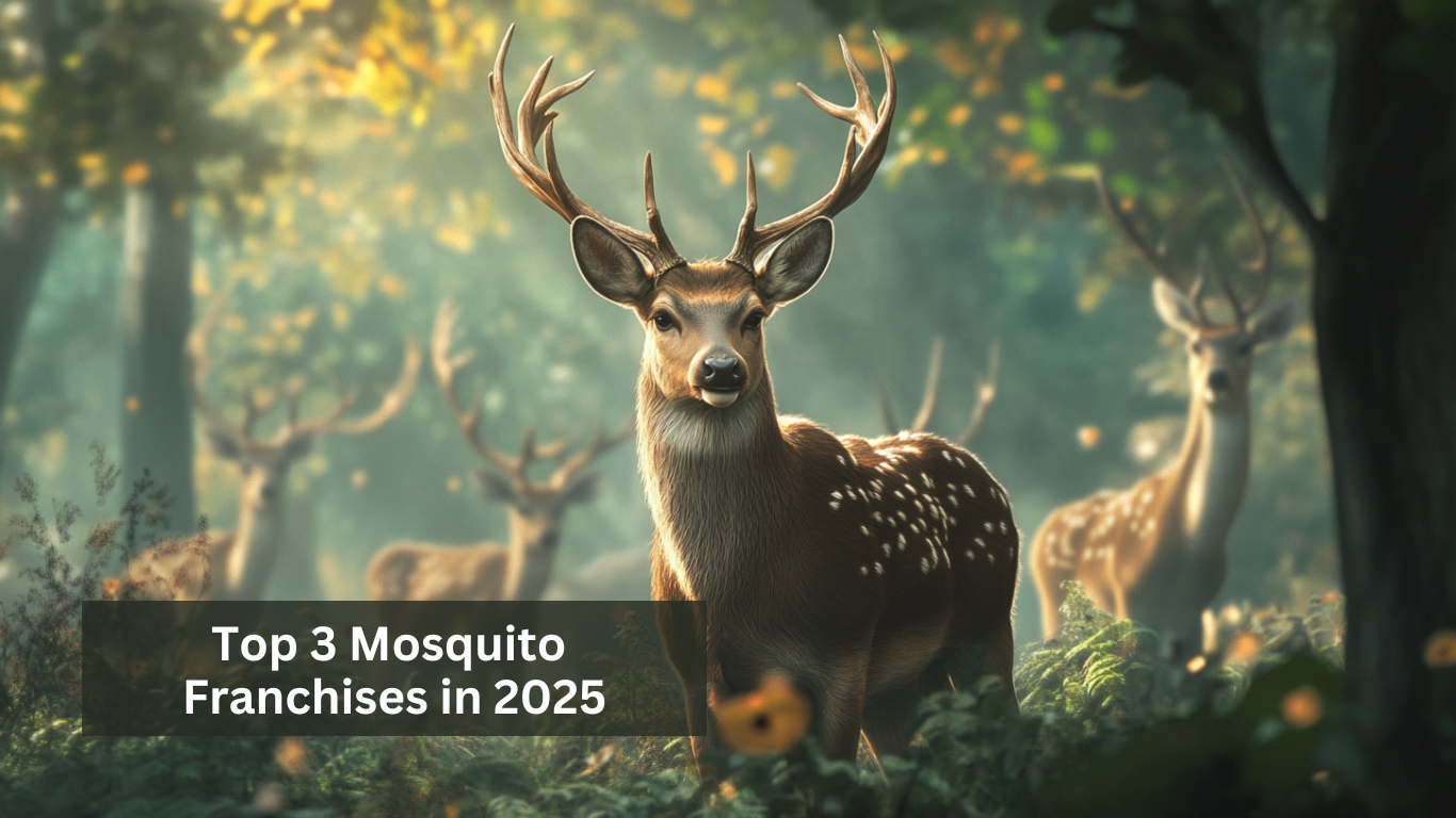 Top 3 Mosquito Franchises in 2025