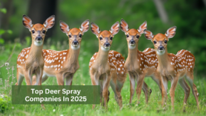 Top Deer Spray Companies in 2025