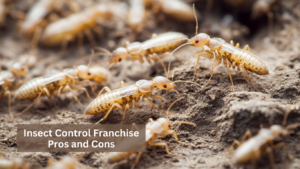 Insect Control Franchise Pros and Cons