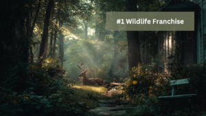 #1 Wildlife Franchise