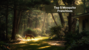 top 5 mosquito franchises
