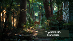 top 5 wildlife franchises