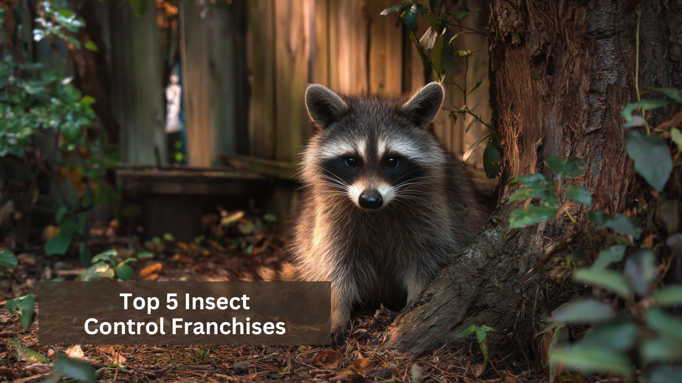 top 5 insect control franchises