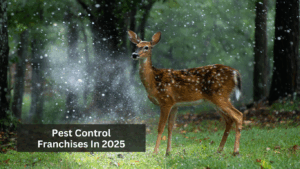 Pest Control Franchises In 2025