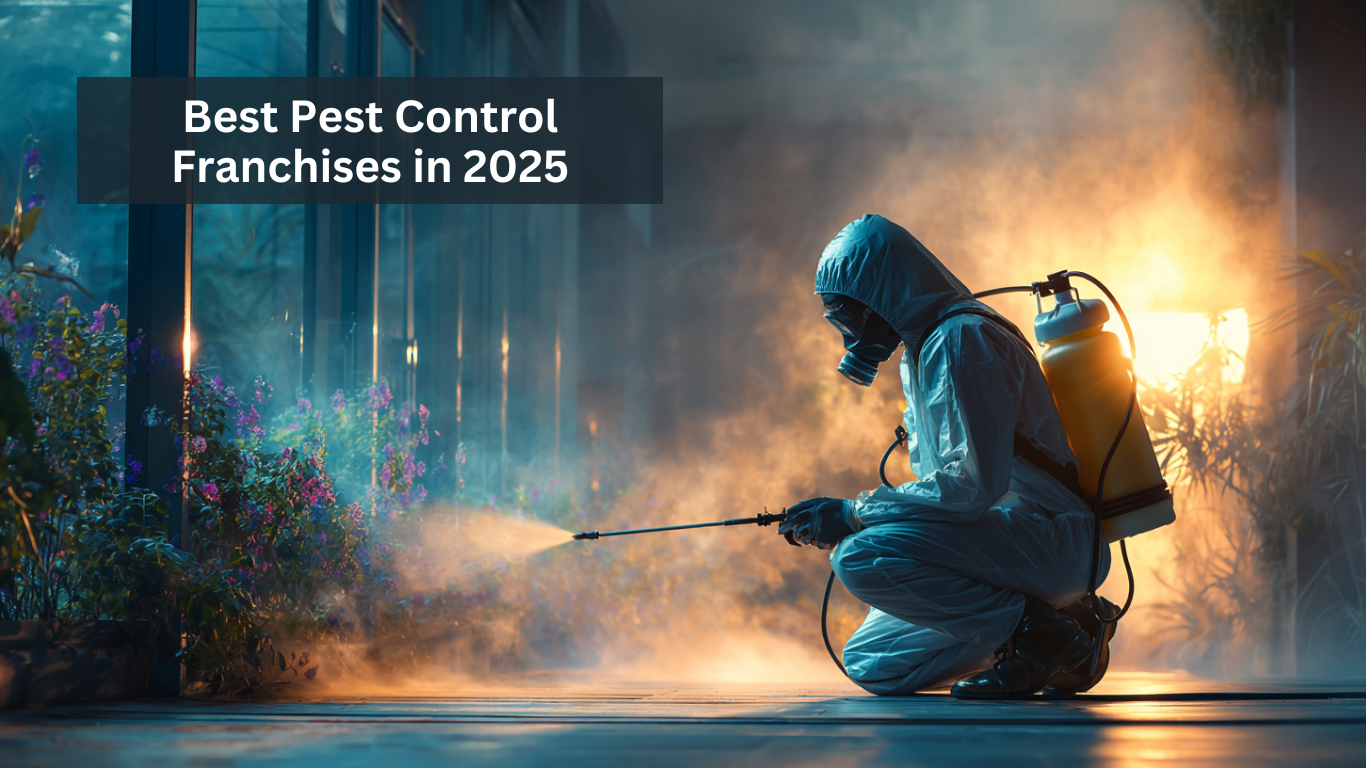 Best Pest Control Franchises in 2025