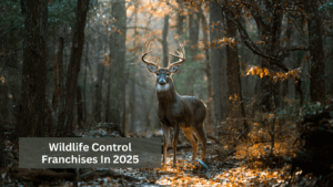 wildlife control franchises in 2025