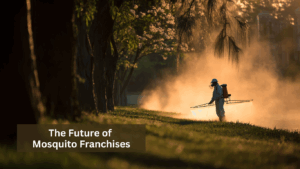 The Future of Mosquito Franchises