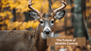 The Future of Wildlife Control