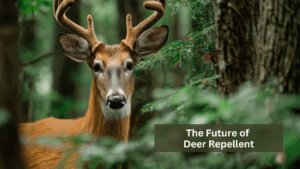 The Future of Deer Repellent