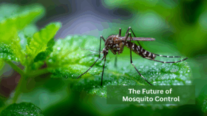 The Future of Mosquito Control